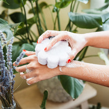 Load image into Gallery viewer, Spongelle French Lavender Wildflower Sponge