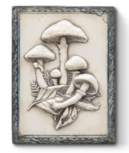 Load image into Gallery viewer, Sid Dickens Memory Block "Amanita" T571