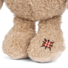 Load image into Gallery viewer, Bukowski Bears Nobody Is Perfect Bear
