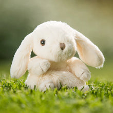Load image into Gallery viewer, Bukowski Bears Kanini White Bunny
