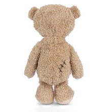 Load image into Gallery viewer, Bukowski Bears Nobody Is Perfect Bear
