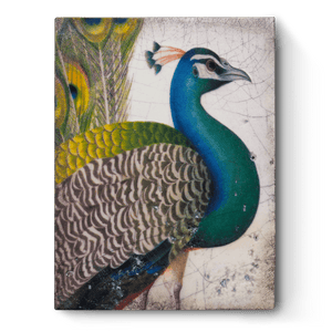 Sid Dickens Memory Block "Fabled Bird" T287