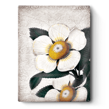 Load image into Gallery viewer, Sid Dickens Memory Block &quot;White Blossoms&quot; T487 Retired
