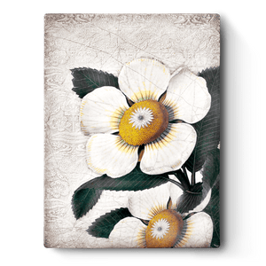 Sid Dickens Memory Block "White Blossoms" T487 Retired