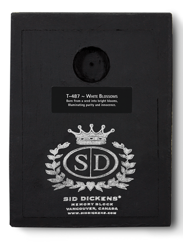 Sid Dickens Memory Block 