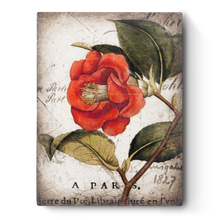 Load image into Gallery viewer, Sid Dickens Memory Block &quot;Red Camellia&quot; T404

