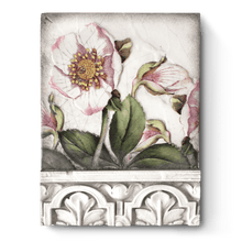 Load image into Gallery viewer, Sid Dickens Memory Block &quot;Hellebores&quot; T501

