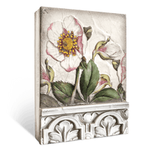 Load image into Gallery viewer, Sid Dickens Memory Block &quot;Hellebores&quot; T501
